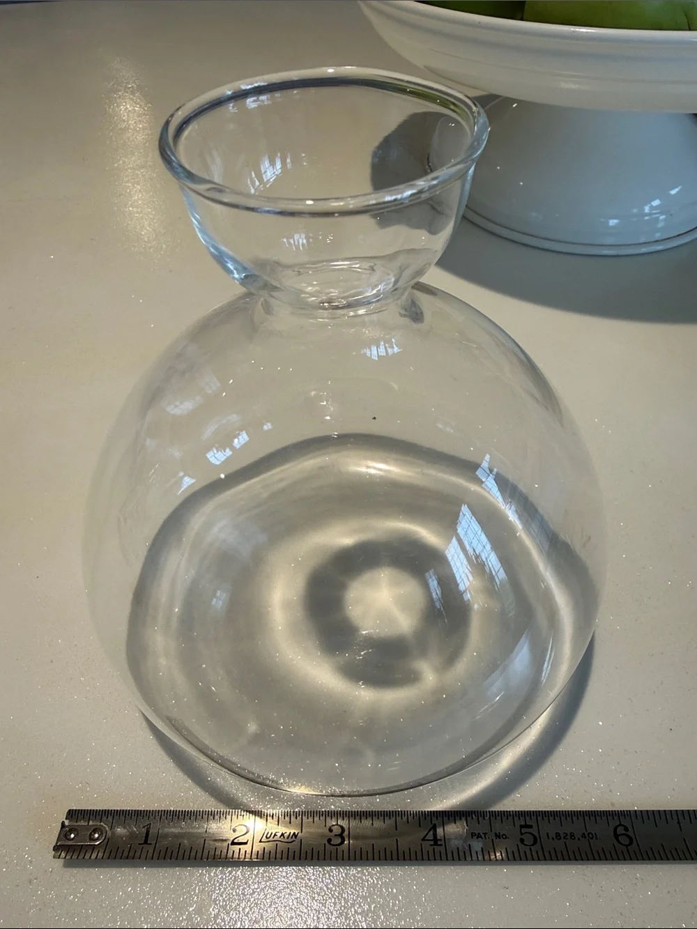Clear Glass Bulb Vase - Transparent Globe Accent